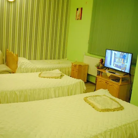 Hotel Svishtov 3*