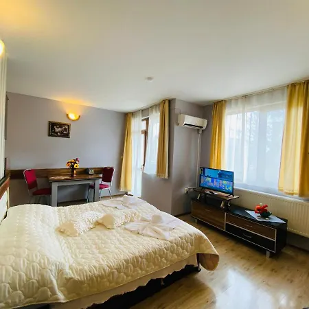 Hotel Hotel Svishtov Sviștov