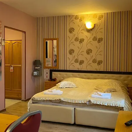 Hotel Svishtov Hotel 3*