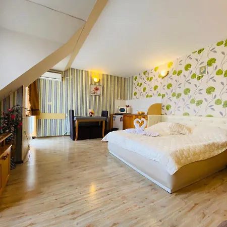 Hotel Svishtov Hotel 3*