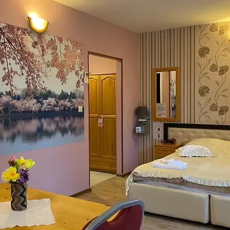 Hotel Svishtov 3*