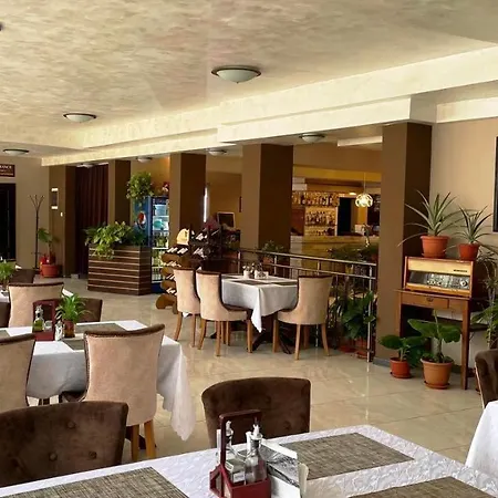Hotel Hotel Svishtov