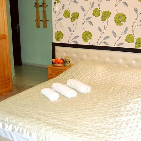 Hotel Hotel Svishtov